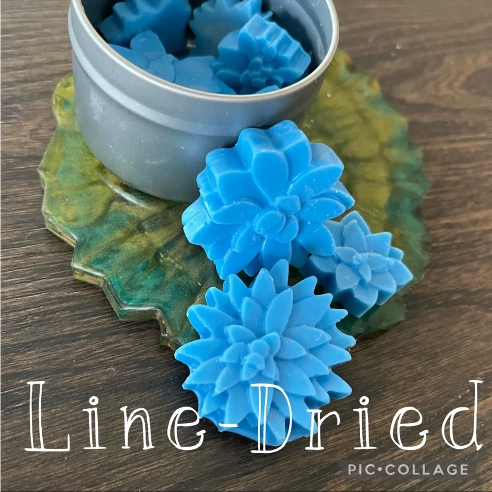 Line-Dried Wax Melts - Picture 1 of 6